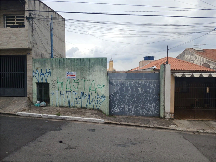 Foto REO1084090