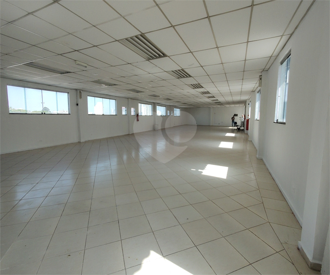 Foto REO1084107