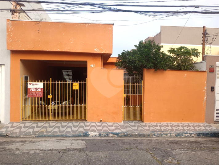 Foto REO1084123