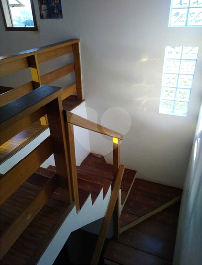 Foto REO1084126
