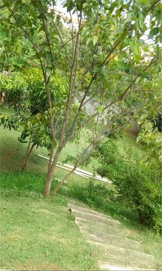 Foto REO1084126