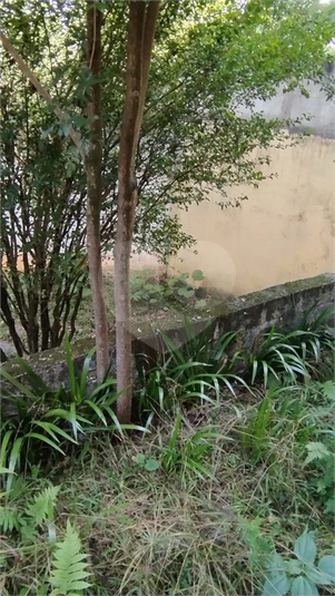 Foto REO1084138
