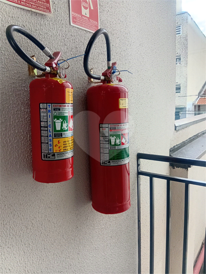 Foto REO1084152
