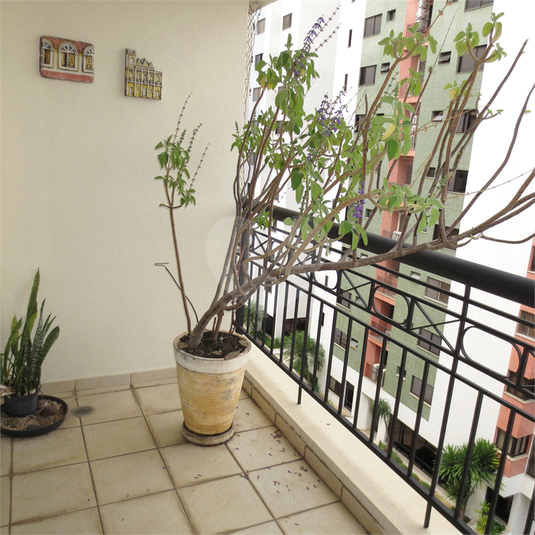 Foto REO1084170