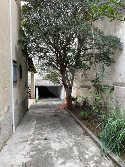 Foto REO1084190