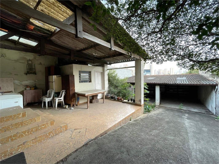 Foto REO1084190