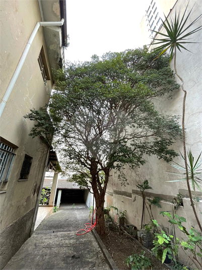 Foto REO1084190