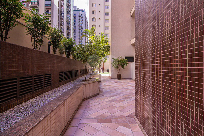 Foto REO1084218