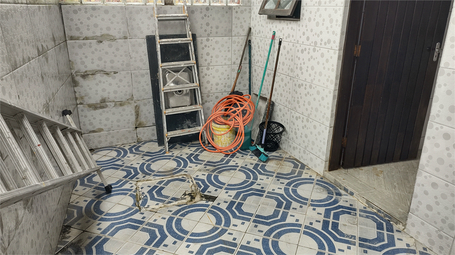 Foto REO1084228
