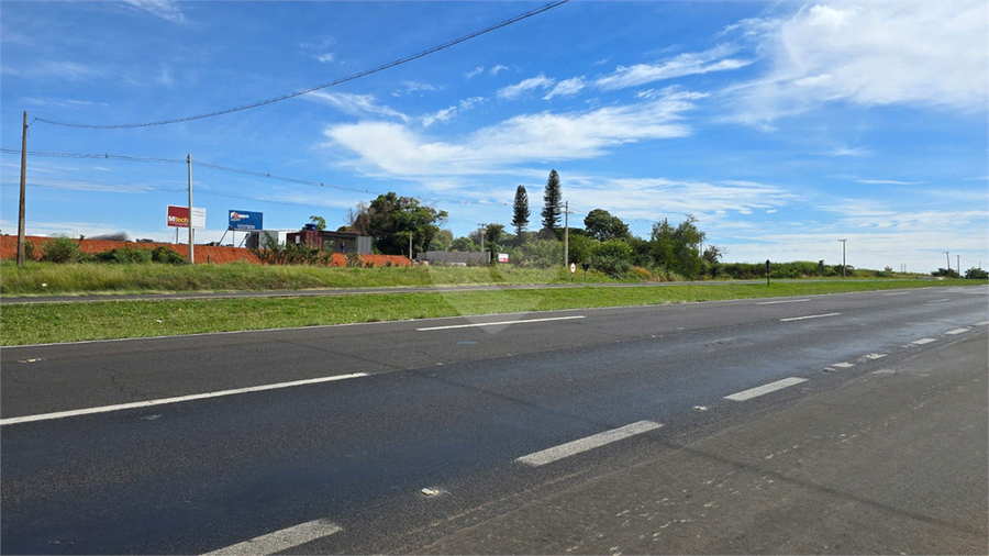 Foto REO1084232