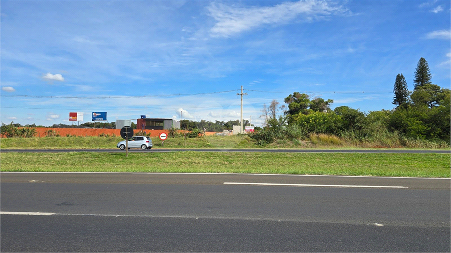 Foto REO1084232