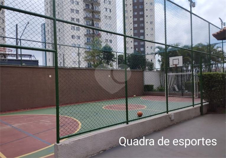 Foto REO1084264