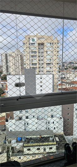 Foto REO1084302