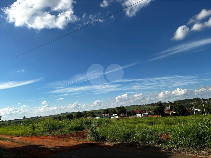 Foto REO1084351