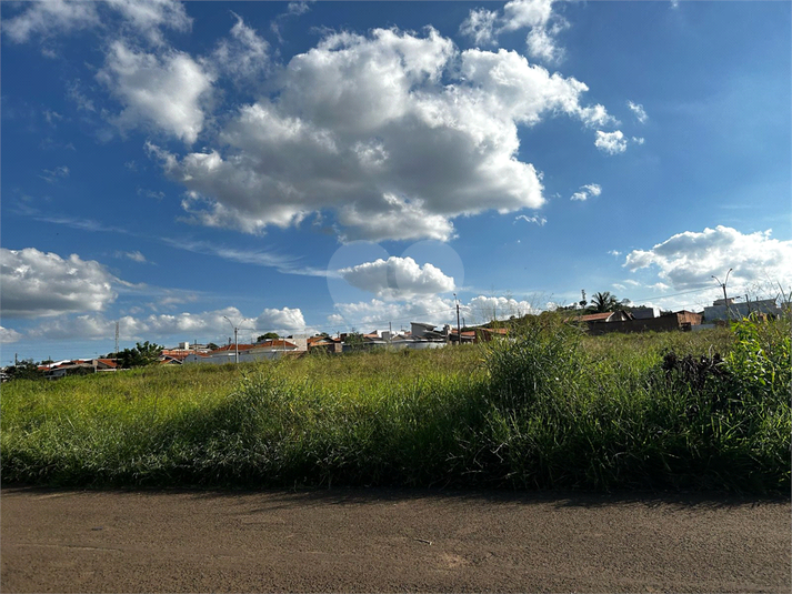 Foto REO1084351