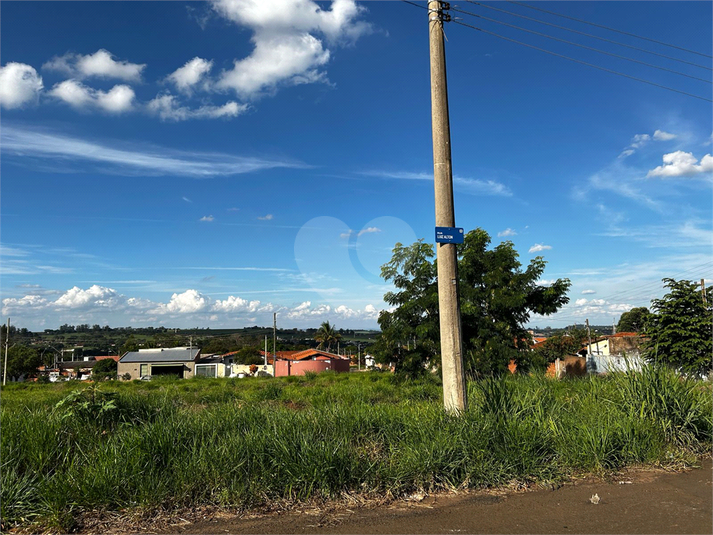 Foto REO1084351