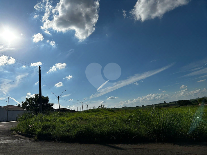 Foto REO1084351