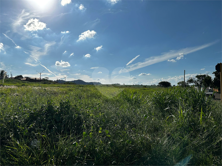 Foto REO1084351