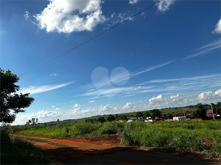 Foto REO1084351