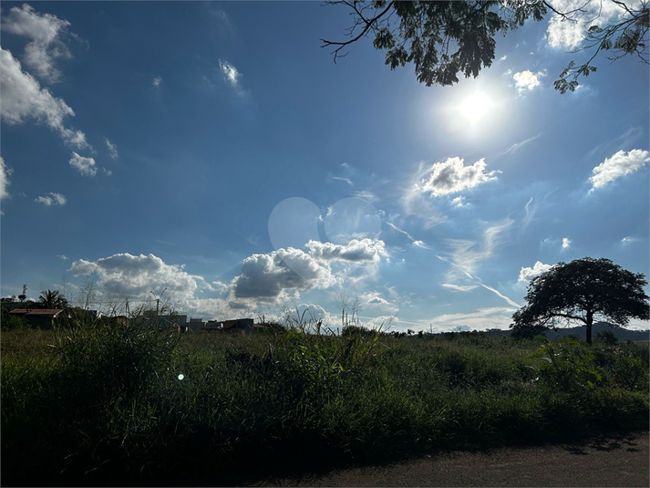 Foto REO1084351