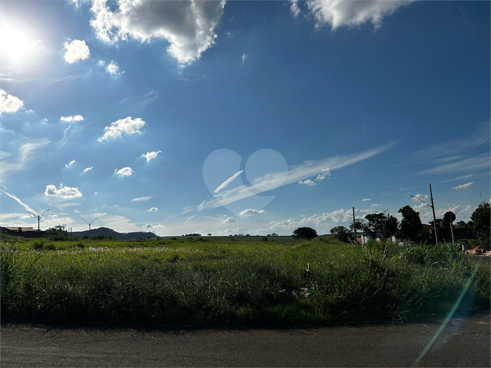 Foto REO1084351