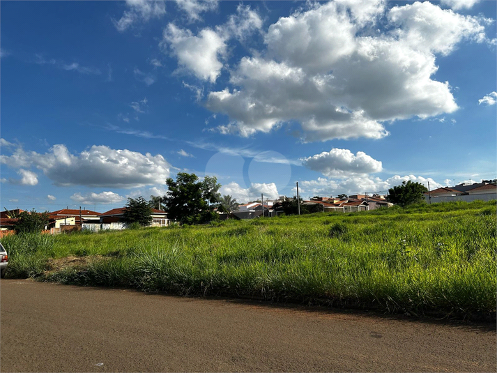 Foto REO1084351