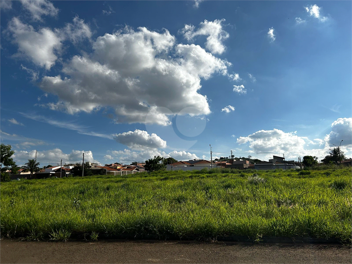 Foto REO1084351