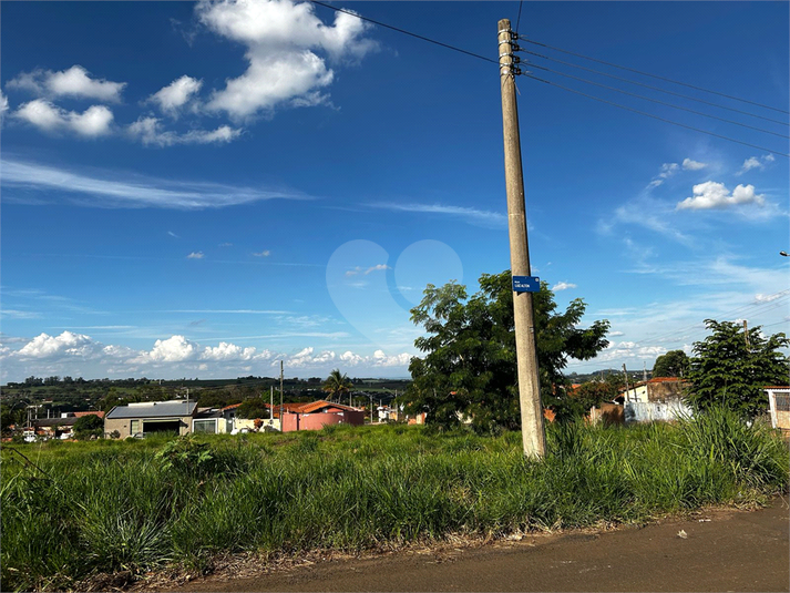 Foto REO1084351
