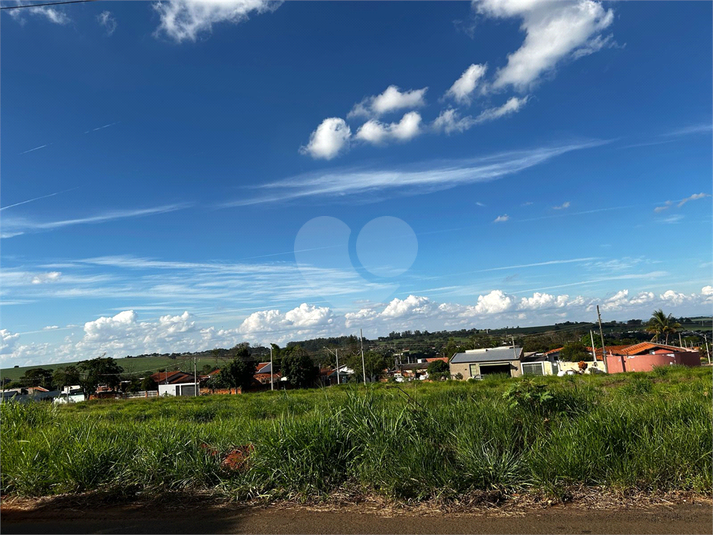 Foto REO1084351
