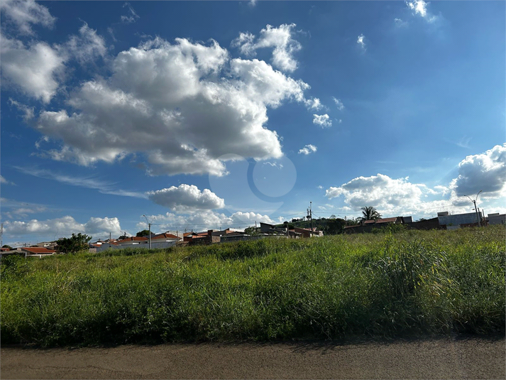 Foto REO1084351