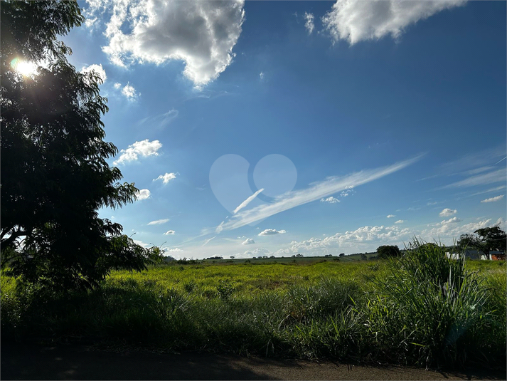 Foto REO1084351