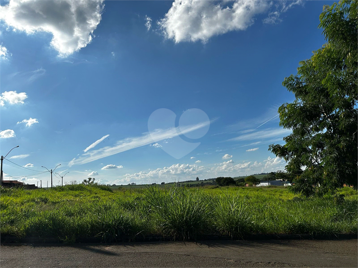 Foto REO1084351