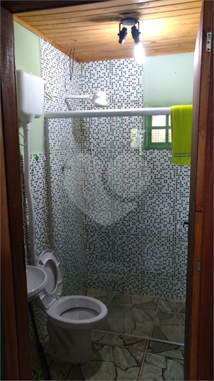 Foto REO1084357