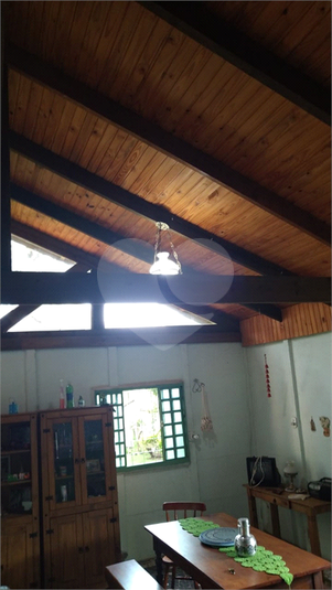 Foto REO1084357