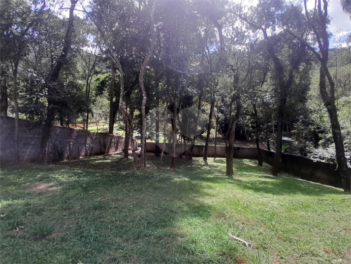 Foto REO1084375