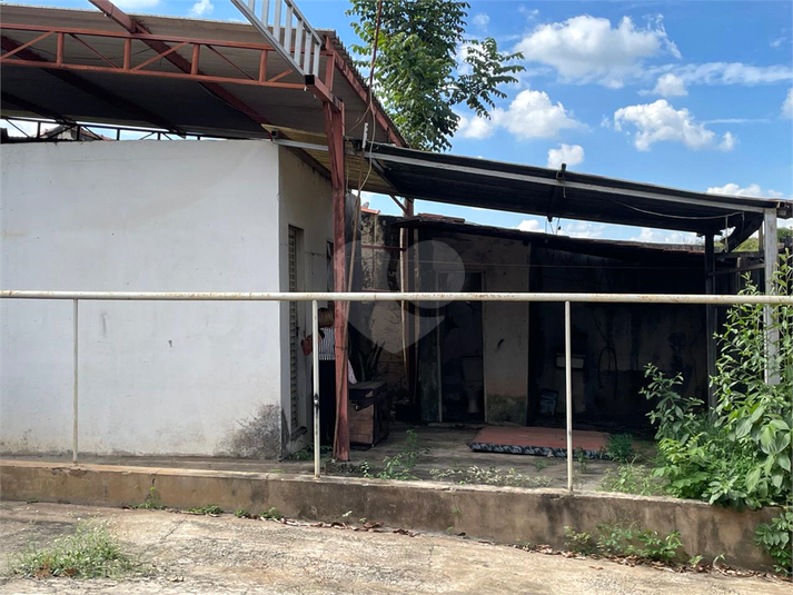 Foto REO1084380
