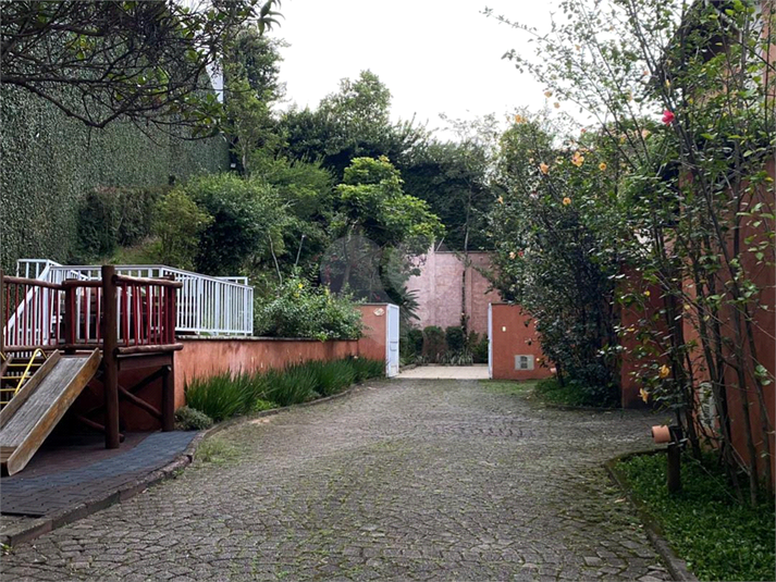 Foto REO1084418