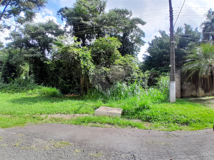 Foto REO1084469