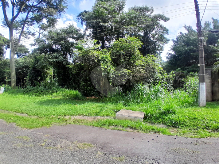 Foto REO1084469