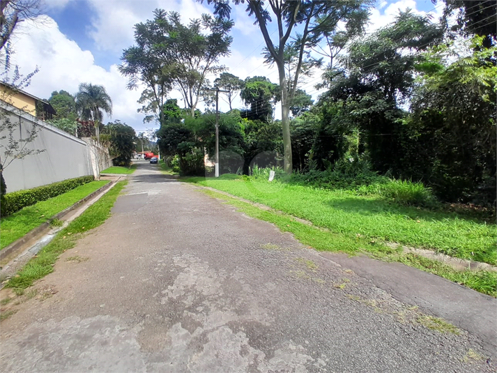 Foto REO1084469