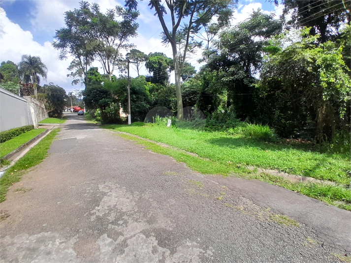 Foto REO1084469