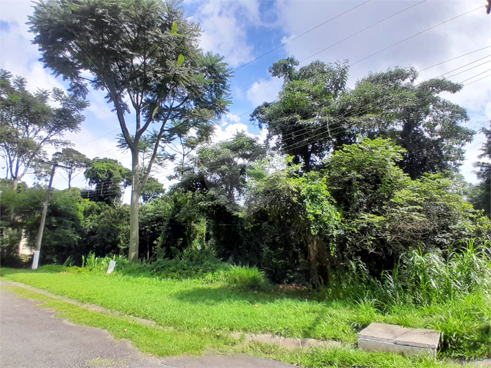 Foto REO1084469