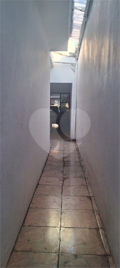 Foto REO1084478