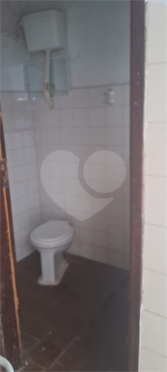 Foto REO1084478