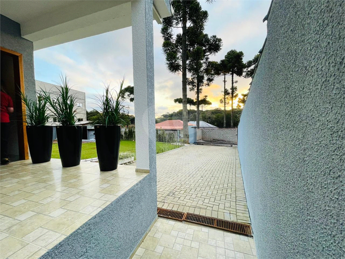 Foto REO1084534