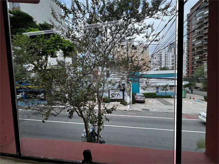 Foto REO1084536