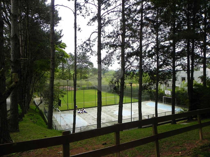 Foto REO1084550