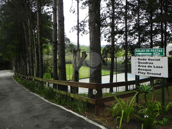 Foto REO1084550