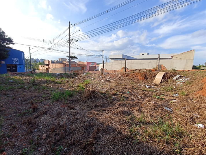 Foto REO1084595