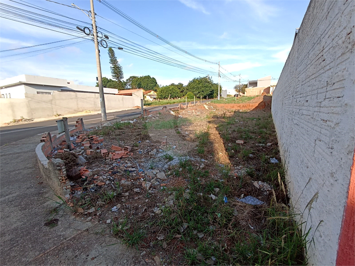 Foto REO1084595